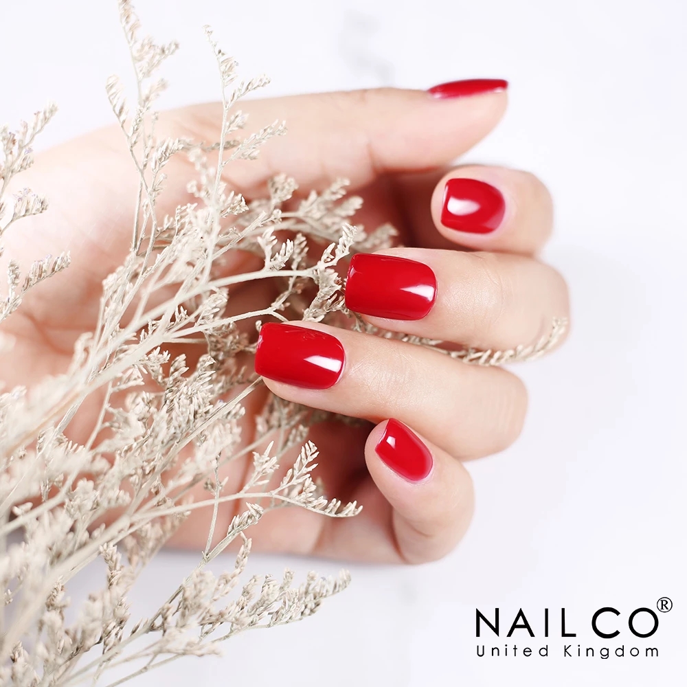 NAILCO 15ml Gel Nail Polish Co - Nail Art One Piece ulasan dan harga