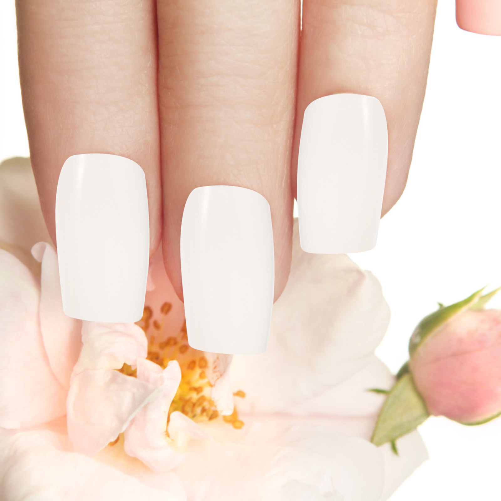 500Pcs Premium Ballet Fake Nai - Nail Art France ulasan dan harga